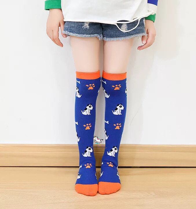 Blue and Orange Dogs Knee High Socks